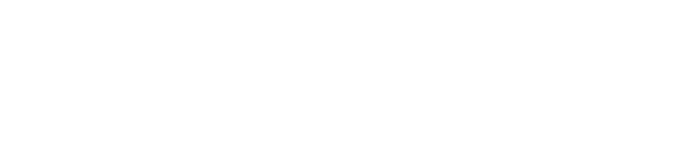 Cv-ki.Online — kreator CV po holendersku i angielsku