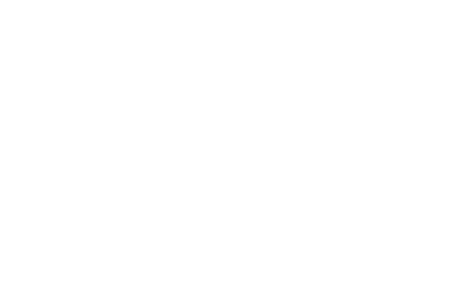 Gemini Gallery