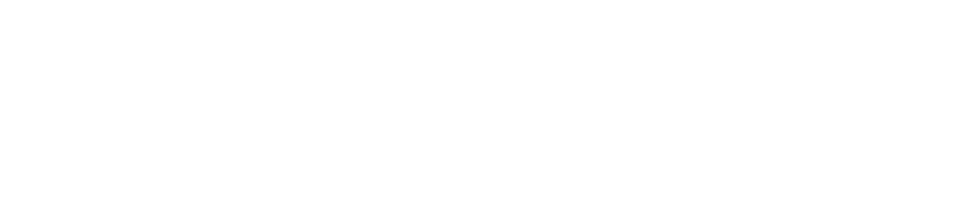 SnelDakkapel.nl — dakkapele w Holandii